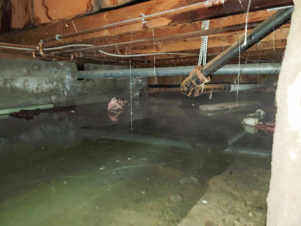 Best Emergency water damage restoration  in Durant, OK