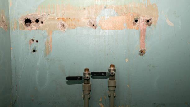 Best Fire Damage Restoration  in Durant, OK