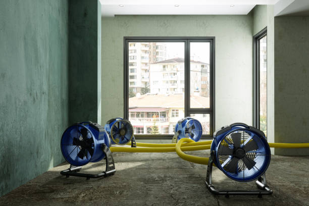 Best Local water damage restoration  in Durant, OK